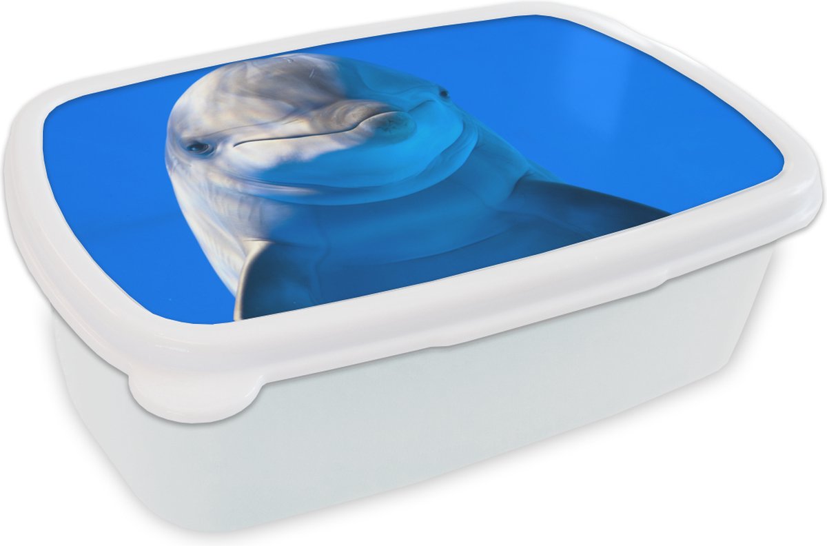 Broodtrommel Wit - Lunchbox - Brooddoos - Dolfijn in een aquarium - 18x12x6 cm - Volwassenen