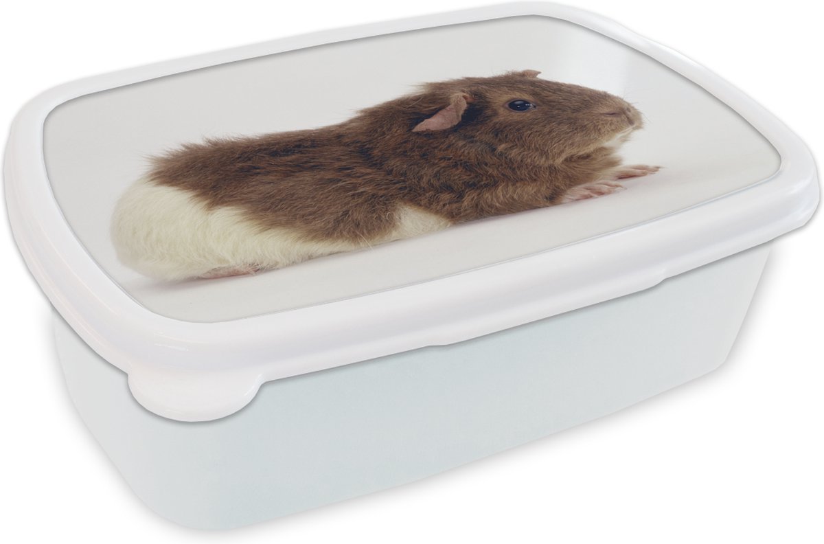 Broodtrommel Wit - Lunchbox - Brooddoos - king erytrocyten - 18x12x6 cm - Volwassenen