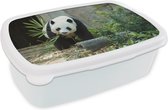 Broodtrommel Wit - Lunchbox - Brooddoos - Panda - Boomstam - Grot - 18x12x6 cm - Volwassenen