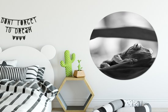 WallCircle - Wall Circle - Wall Circle Indoor - Grenouilles dans la nature du Costa Rica en noir et blanc - 120x120 cm - Décoration murale - Peintures Ronds XXL
