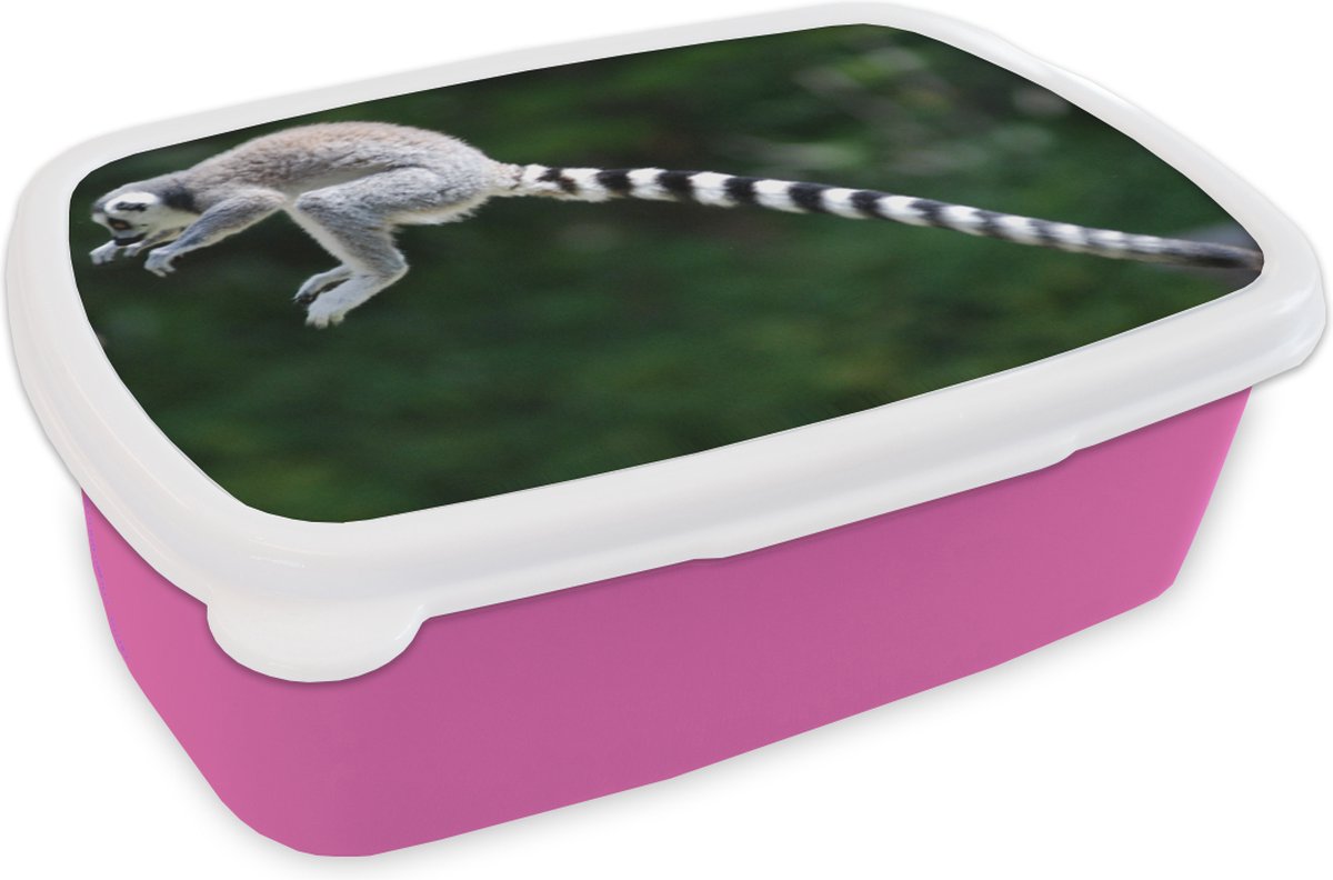 Broodtrommel Roze - Lunchbox - Brooddoos - Aap - Ringstaartmaki - Bos - 18x12x6 cm - Kinderen - Meisje
