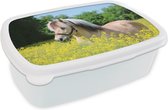 Broodtrommel Wit - Lunchbox Paard - Bloemen - Geel - Brooddoos 18x12x6 cm - Brood lunch box - Broodtrommels voor kinderen en volwassenen