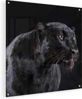 Artaza Glasschilderij - Zwarte Panterkop - Panter - 50x50 - Plexiglas Schilderij - Foto op Glas