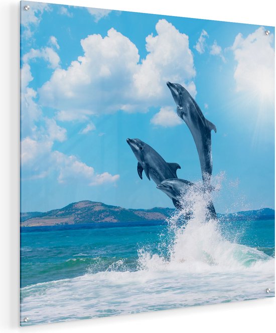 Artaza Glasschilderij - Dolfijnen Springen uit het Water - 60x60 - Plexiglas Schilderij - Foto op Glas