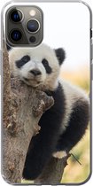 Geschikt voor iPhone 13 Pro hoesje - Panda - Boom - Licht - Siliconen Telefoonhoesje