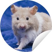 Tuincirkel Syrische hamster - 150x150 cm - Ronde Tuinposter - Buiten