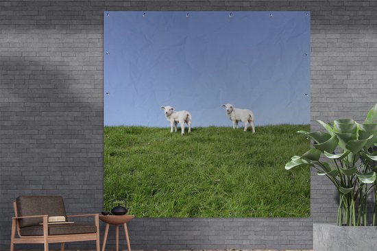 Tuinposter 200x200 cm - Tuindecoratie Twee lammetjes die zich op een grasdijk bevinden - Poster voor in de tuin - Buiten decoratie - Schutting tuinschilderij - Tuindoek muurdecoratie - Wanddecoratie balkondoek