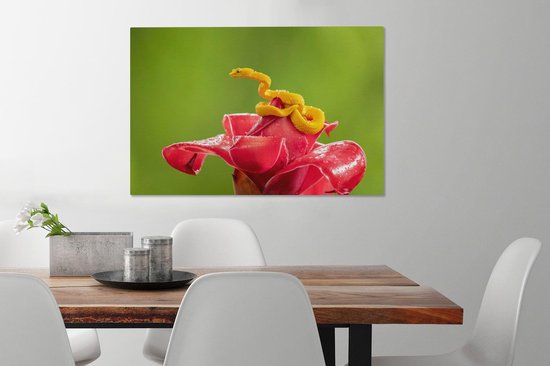 Petit serpent jaune fleur rouge 90x60 cm - impression photo sur toile peinture (Décoration murale salon / chambre à coucher) / Animaux sauvages Peintures Toile