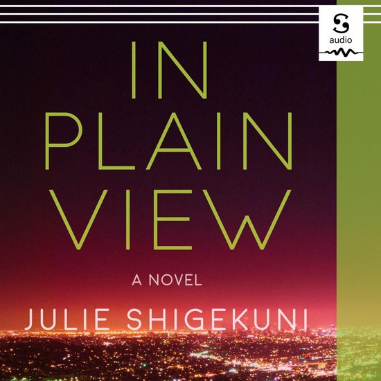 In Plain View - cover