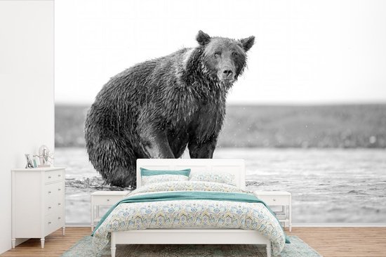 Papier Peint - Papier Papier peint photo Ours - Poisson - Water - Largeur 360 cm x Hauteur 240 cm