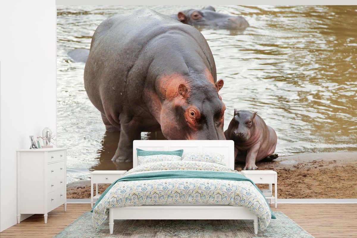 Behang - Fotobehang Dieren - Nijlpaarden - Baby - Breedte 375 cm x hoogte 240 cm
