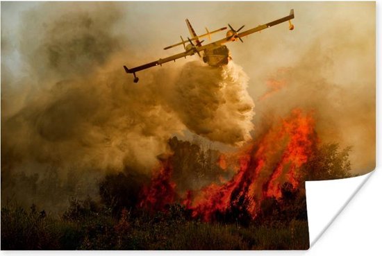 Poster Blusvliegtuig probeert bosbrand te blussen