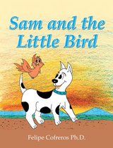 Sam and the Little Bird