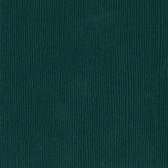 Bazzill Textuurpapier - Mono Canvas - 30.5x30.5cm - Jade - 25 vellen