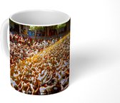 Mok - Het Holi feest in India - 350 ML - Beker