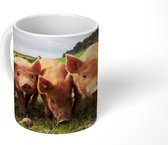 Mok - Varken - Gras - Dier - 350 ML - Beker