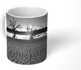 Mok - Opgedroogd meer bij zonsondergang - zwart wit - 350 ML - Beker
