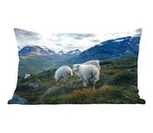Sierkussens - Kussen - Familie portret schapen in de bergen - 50x30 cm - Kussen van katoen