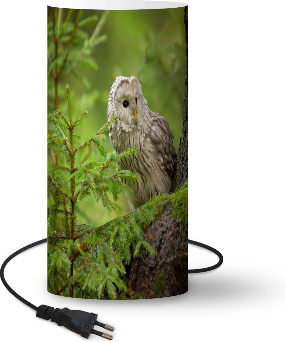 Lamp - Nachtlampje - Tafellamp slaapkamer - Uil zit op een boom - 33 cm hoog - Ø15.9 cm - Inclusief LED lamp