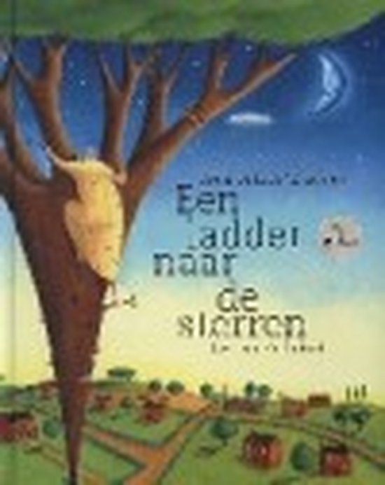 Cover van het boek 'Een ladder naar de sterren' van Simon Puttock en Ros Jay