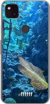 6F hoesje - geschikt voor Google Pixel 4a 5G -  Transparant TPU Case - Coral Reef #ffffff
