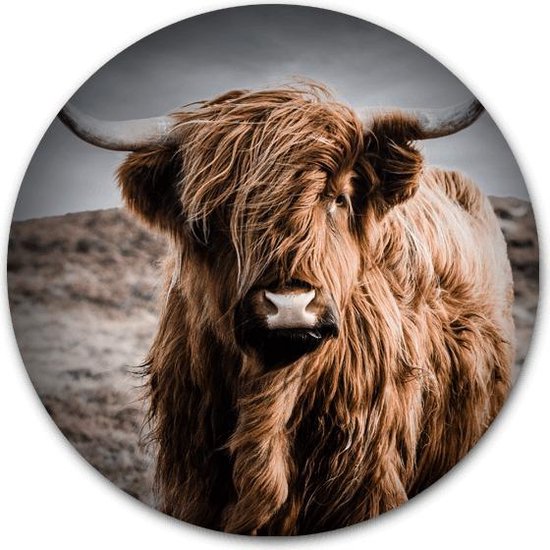 Tuincirkel Schotse Hooglander in kleur - WallCatcher | Tuinposter rond 120 cm | Buiten muurcirkel Highlander