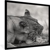 Cadre photo avec affiche - Lionne - Cub - Zwart - 40x40 cm - Cadre pour affiche