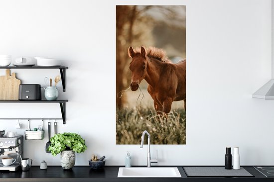 Affiche Cheval - Lumière - Prairie - 60x120 cm