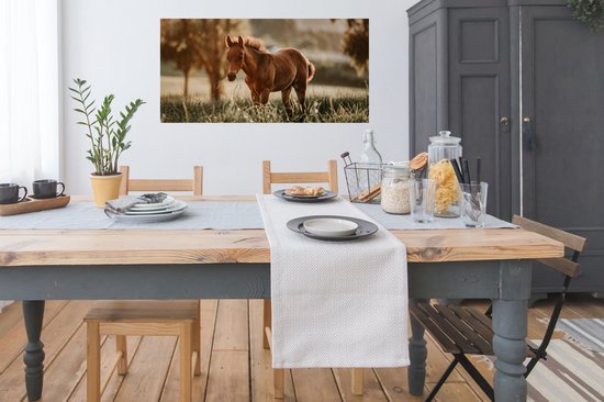 Affiche Cheval - Lumière - Prairie - 120x60 cm