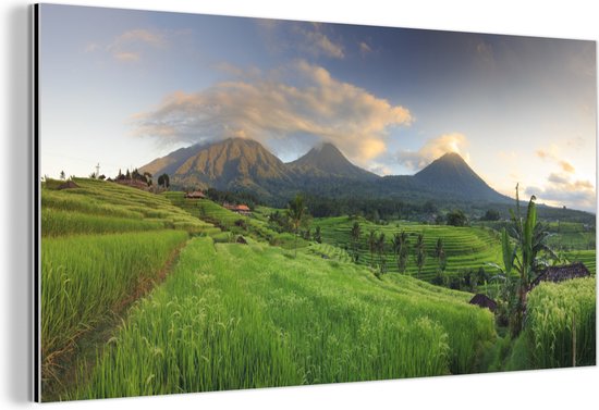 Peinture panoramique de rizières en terrasses verdoyantes et luxuriantes sous un ciel bleu nuageux, avec des montagnes à l'arrière-plan.