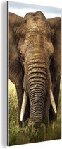 Wanddecoratie Metaal - Aluminium Schilderij Industrieel - Afrikaanse olifant vooraanzicht - 80x160 cm - Dibond - Foto op aluminium - Industriële muurdecoratie - Voor de woonkamer/slaapkamer