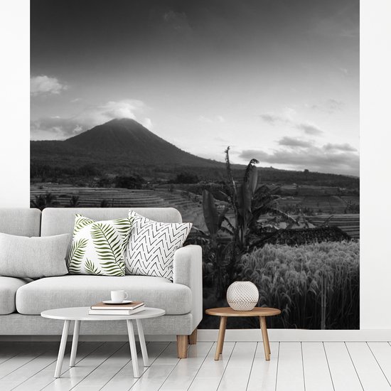 Papier peint - Papier peint Papier peint photo Rizières et volcans en Indonésie - noir et blanc - Largeur 220 cm x hauteur 220 cm
