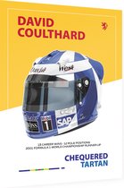 F1 Helm Series - David Coulthard (McLaren) - Dibond - 30 x 40 cm