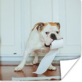 Poster Hond spelend met wc-papier - 75x75 cm