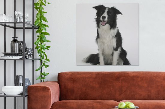 Tableau Tableau Portrait photo d'un bon border collie assis - 90x90 cm - Décoration murale Art