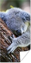 Poster Koala - Boom - Slapen - Kinderen - Jongens - Meiden - 75x150 cm
