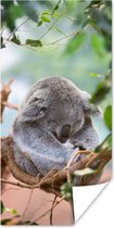 Poster Koala - Takken - Bladeren - Kinderen - Jongens - Meisjes - 75x150 cm