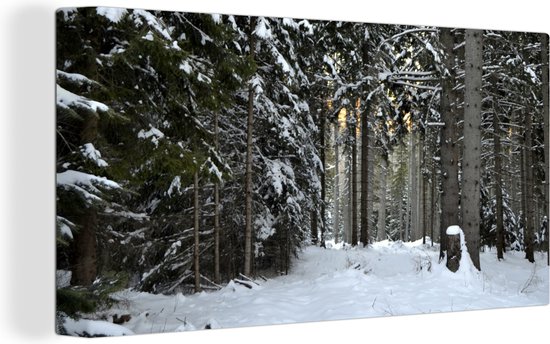 Canvas Schilderij De winterbomen in het bos bij Wenen in Oostenrijk - 40x20 cm - Wanddecoratie