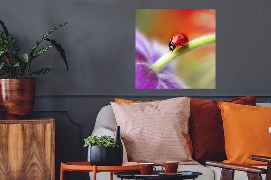 Affiche Coccinelle sur une fleur violette - 50x50 cm