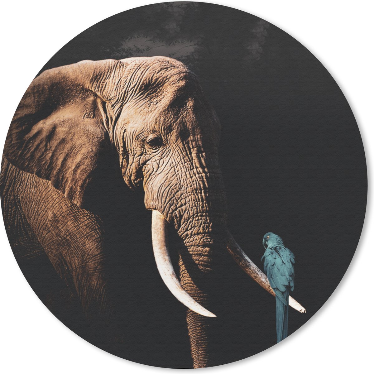 Muismat rond 20x20 cm - Mousepad Olifant - Papegaai - Tanden - Ronde muismatten