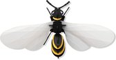 Assembli Paper wasp 3D insect-transparant