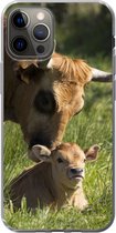 Geschikt voor iPhone 12 Pro hoesje - Koe - Gras - Hoorn - Kalf - Siliconen Telefoonhoesje