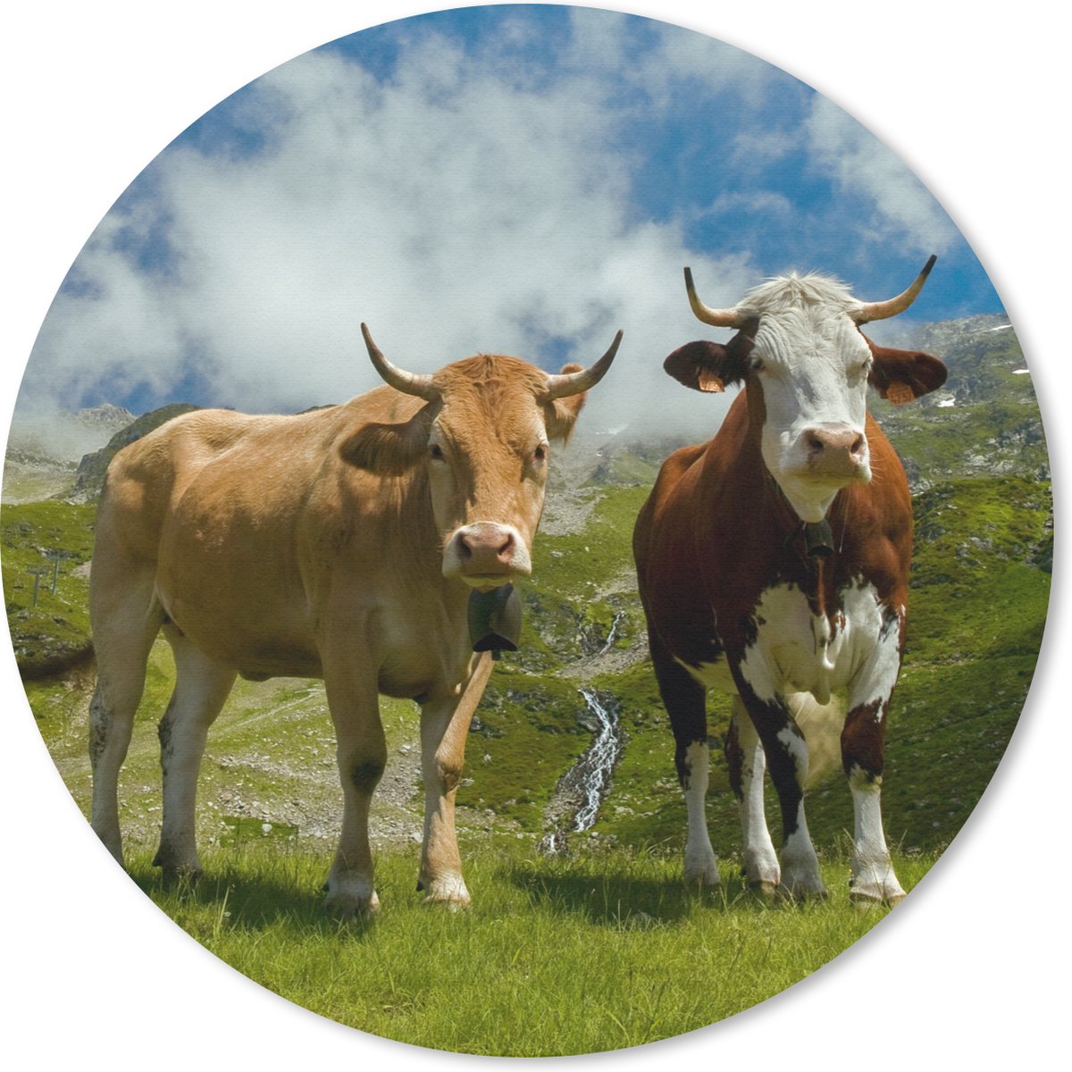 Muismat rond 20x20 cm - Mousepad Koeien - Zon - Landschap - Ronde muismatten