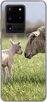 Geschikt voor Samsung Galaxy S20 Ultra hoesje - Schaap - Gras - Lam - Siliconen Telefoonhoesje