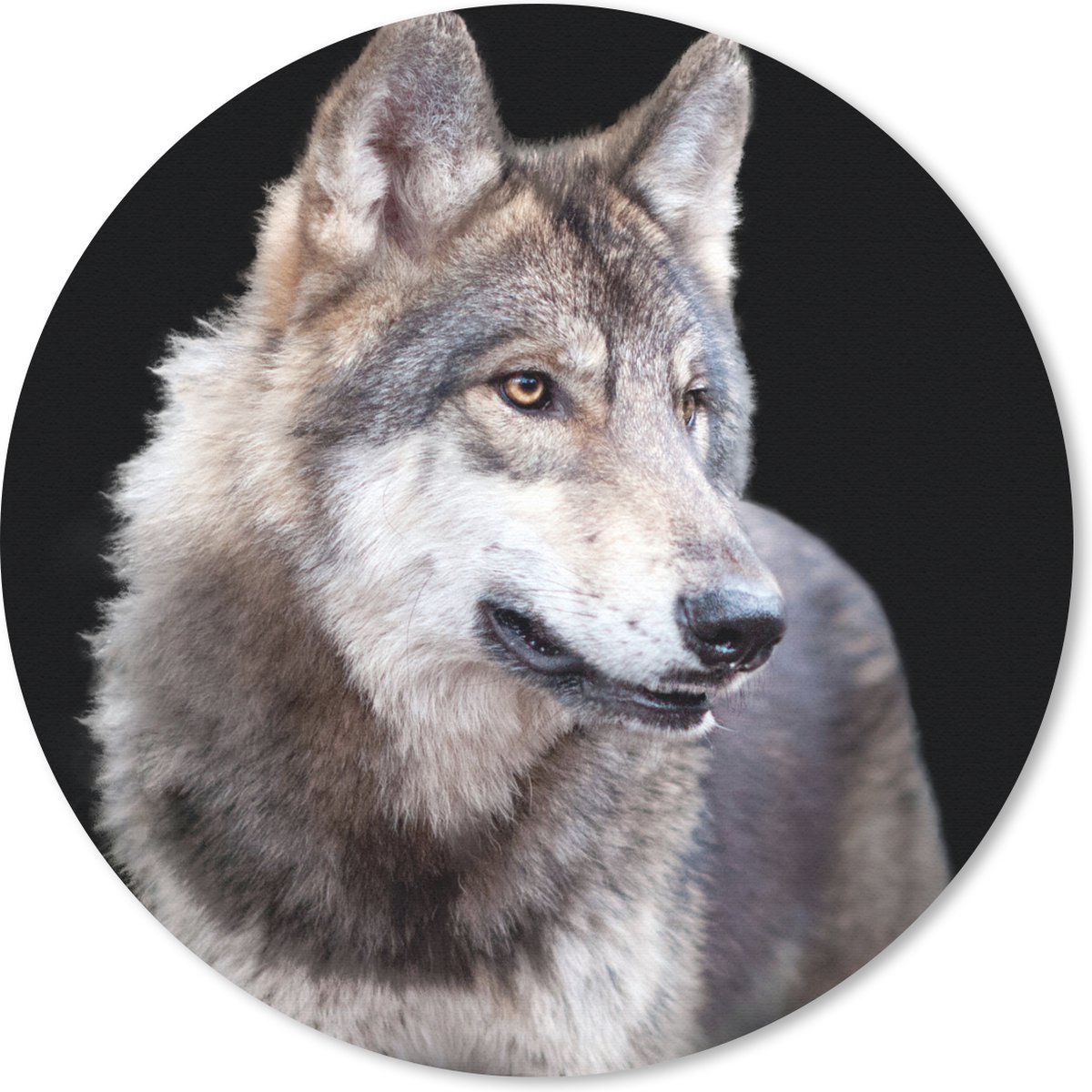 Muismat rond 40x40 cm - Mousepad Grijze wilde wolf - Ronde muismatten