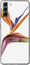 Geschikt voor Samsung Galaxy S21 Plus hoesje - Strelitzia - Aquarel - Bloemen - Siliconen Telefoonhoesje