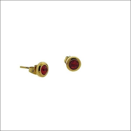 Aramat jewels ® - Ronde zweerknopjes zirkonia rood goudkleurig chirurgisch staal 6mm