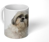 Mok - Een Shih Tzu hond poseert voor de camera - 350 ML - Beker
