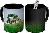 Magische Mok - Foto op Warmte Mok - Koe - Gras - Boom - 350 ML