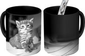Magische Mok - Foto op Warmte Mok - Twee roodharige kittens - zwart wit - 350 ML